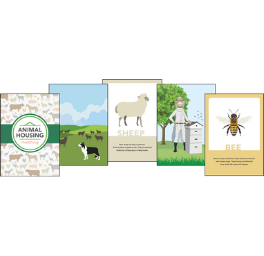 Animal Housing Matching Cards